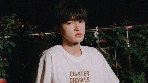 张真源私生爆料最新,娱乐圈背后的惊人真相  第1张