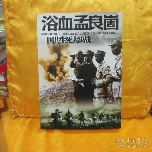 决战孟良崮在线观看,再现红色战场的壮丽史诗  第2张