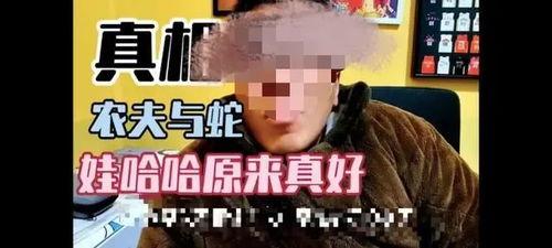 侯哥爆料第6集视频,揭秘背后惊人真相  第3张